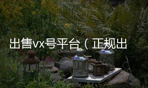 出售vx号平台24小时在线回收vx（正规出售微信账号交易平台）