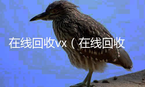 在线回收v回收微信秒结账的x（在线回收号价格）