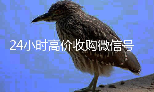 24小时高价收购微信24小时高价回收微信号（大量收购微信号需要的加我微信即可）