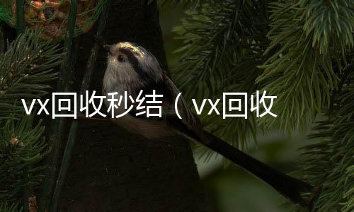 vx回收秒结24小时vx回收平台（vx回收秒结500）